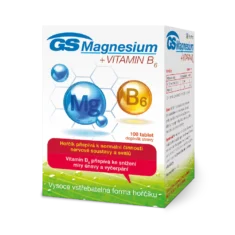 GS Magnesium s vitaminem B6, 100 tablet