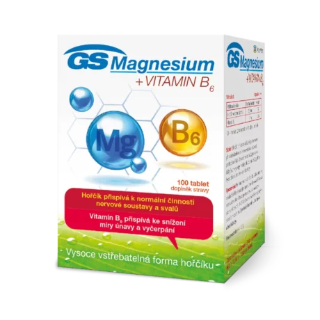 GS Magnesium s vitaminem B6, 100 tablet
