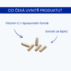 GS Vitamin Lipo C 500 mg se šípky, 2 x 90+10 kapslí