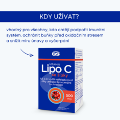 GS Vitamin Lipo C 500 mg se šípky, 2 x 90+10 kapslí