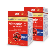 GS Vitamin C1000 se šípky, 2 x 100+30 tablet NAVÍC, dárkové balení 2024