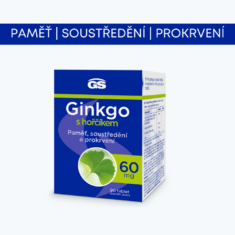 GS Ginkgo 60 mg s hořčíkem, 2 x 90 tablet