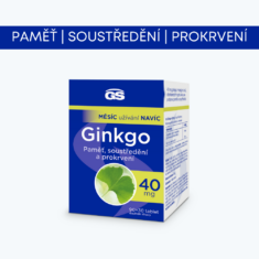 GS Ginkgo 40 mg, 90+30 tablet