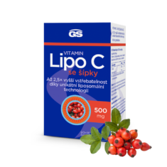 GS Vitamin Lipo C 500 mg se šípky, 90+10 kapslí