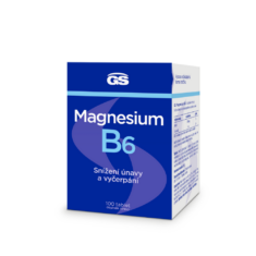 GS Magnesium s vitaminem B6, 100 tablet