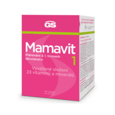 GS Mamavit 1 Plánování a 1. trimestr, 90 tablet