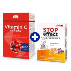 GS Vitamin C 1000 se šípky, 100+20 tablet